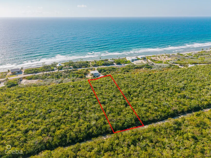 0.99 ACRES ON CAYMAN BRAC BLUFF