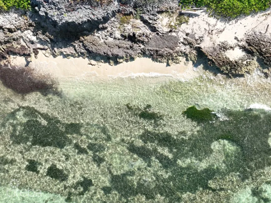 NORTH EAST COAST OCEAN FRONT LAND