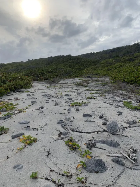 SOUTH SIDE OCEAN FRONT LAND