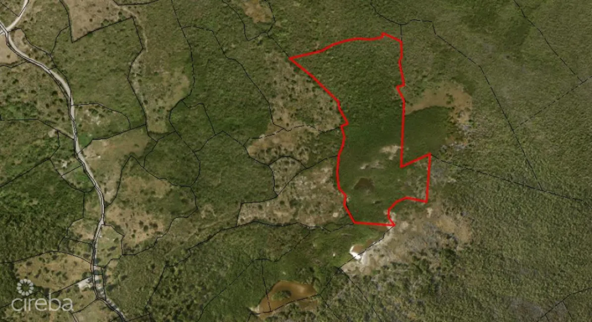 EAST INTERIOR LAND