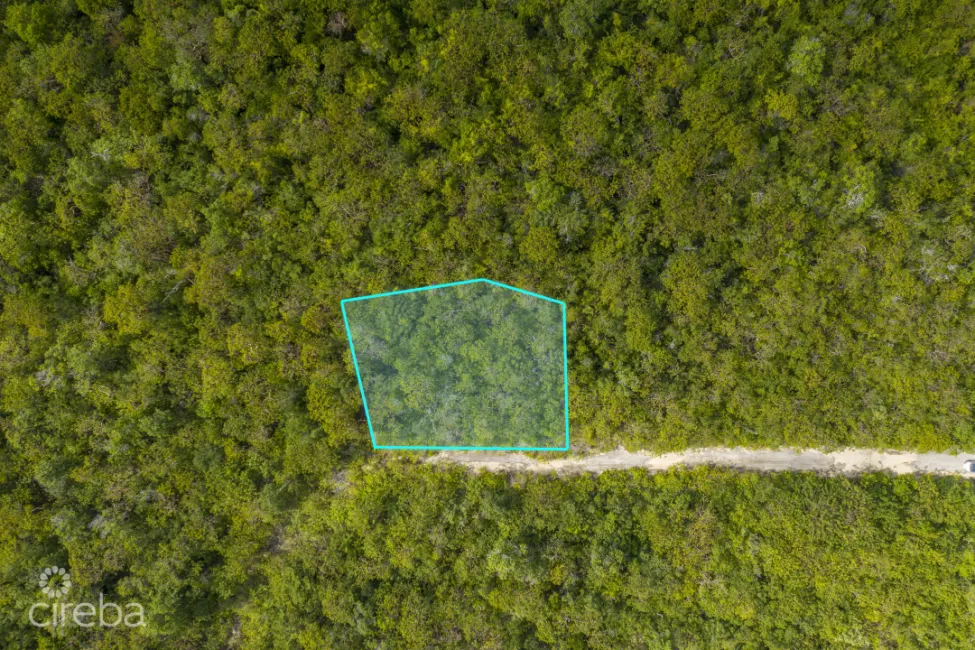 CAYMAN BRAC LAND 230