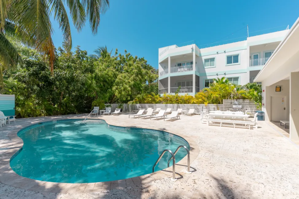 BOGGY SANDS CLUB DRIFTWOOD 1