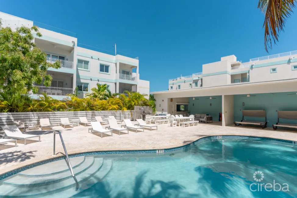 BOGGY SANDS CLUB DRIFTWOOD 1