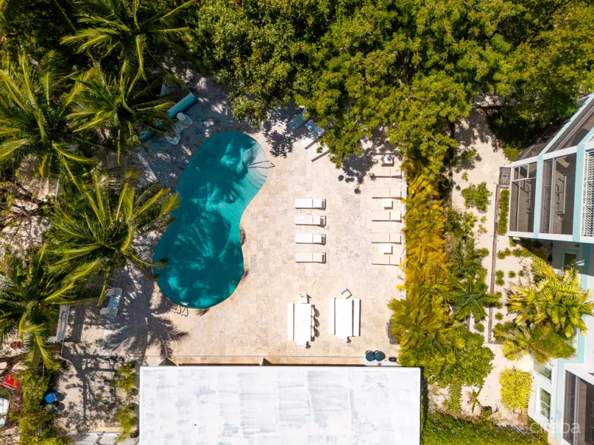 BOGGY SANDS CLUB DRIFTWOOD 1