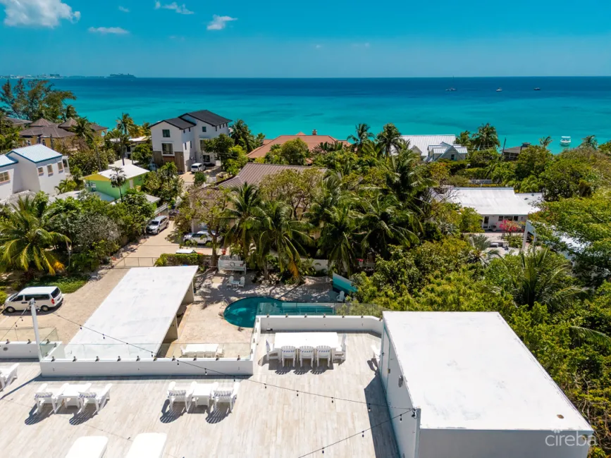 BOGGY SANDS CLUB DRIFTWOOD 1