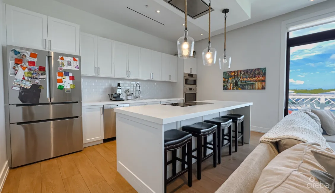 PENTHOUSE OLEA