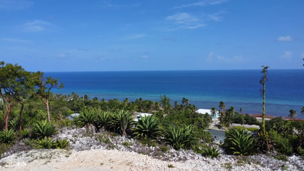 BLUFF LAND - CAYMAN BRAC EAST